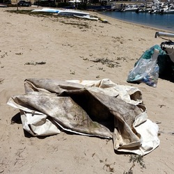 SAN VITO LO CAPO. Fotografie di Giulio Azzarello ©2023. SAN VITO LO CAPO. Fotografie di Giulio Azzarello ©2023.