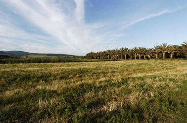 ARTE CONTEMPORANEA A PIRGI sito e riserva archeologica. Fotografie di Giulio Azzarello &copy;2014.