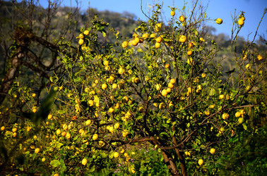 GOLE DELL ALCANTARA in Sicilia. Fotografie di Giulio Azzarello &copy;2016.