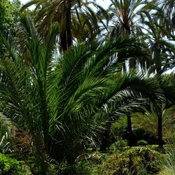 PALERMO. Fotografie di Giulio Azzarello &copy;2022.