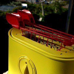 TOAST. Fotografie di Giulio Azzarello &copy;2025.