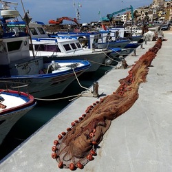 SELINUNTE. Fotografie di Giulio Azzarello &copy;2022.