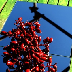 SPECCHIATI. Fotografia di Giulio Azzarello ©2023. SPECCHIATI. Fotografia di Giulio Azzarello ©2023.