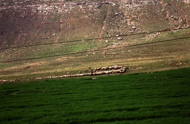 KURDISTAN fotografie di Giulio Azzarello ©2021.