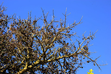 ERICE e il suo QUARTIERE SPAGNOLO.Fotografie di Giulio Azzarello &copy;2014.