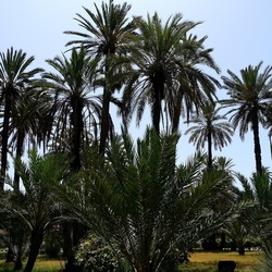 PALERMO. Fotografie di Giulio Azzarello &copy;2022.