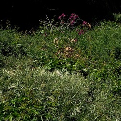 BAIA DEL CORALLO. Fotografie di Giulio Azzarello &copy;2022.