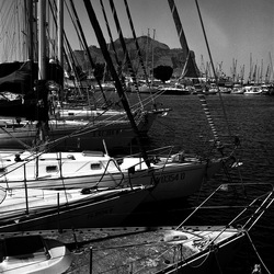 VELA fotografie di Giulio Azzarello ©2021. VELA fotografie di Giulio Azzarello ©2021.