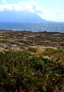 PAESAGGIO SICILIANO di MARE. Fotografia di Giulio Azzarello &copy;2018.
