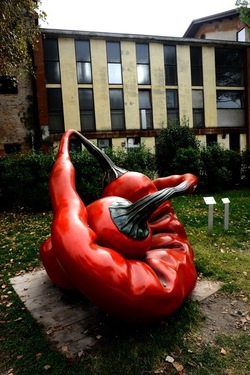 BIENNALE ARTI CONTEMPORANEE DI VENEZIA fotografie di Giulio Azzarello ©2020.