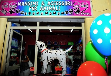 NEGOZIO di ANIMALI. Fotografie di Giulio Azzarello ©2018. NEGOZIO di ANIMALI. Fotografie di Giulio Azzarello ©2018.