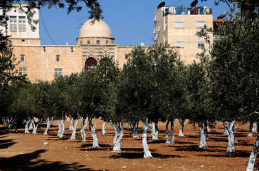 GERUSALEMME panoramiche e particolari. Fotografie di Giulio Azzarello &copy;2014.