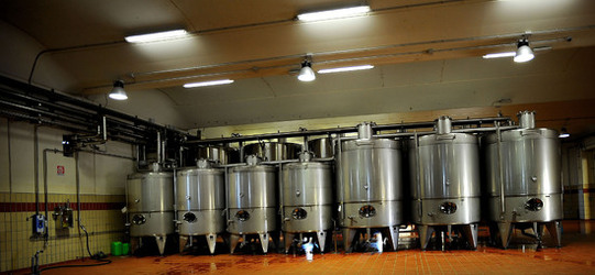 ACCIAI per il vino. Fotografie di Giulio Azzarello ©2016.