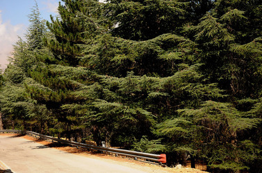 IL PARCO DELLE MADONIE da Polizzi Generosa in Sicilia. Fotografie di Giulio Azzarello &copy;2014.