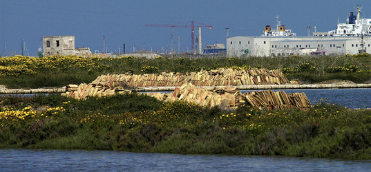 WWF Sicilia le Saline di Trapani. Fotografie di Giulio Azzarello &copy;2014.