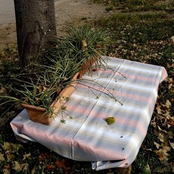 ZISA. Fotografie di Giulio Azzarello &copy;2023.