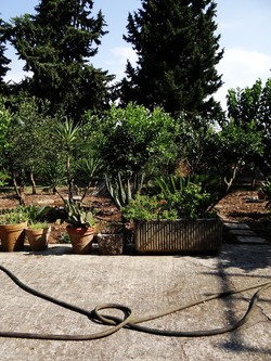 HABITAT NATURA in campagna. Fotografie di Giulio Azzarello ©2015 2016. HABITAT NATURA in campagna. Fotografie di Giulio Azzarello ©2015 2016.