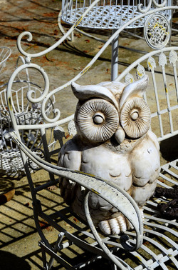 ORTO BOTANICO di Palermo in inverno. Fotografie di Giulio Azzarello &copy;2016.