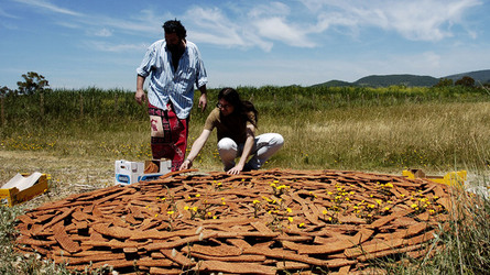 ARTE CONTEMPORANEA A PIRGI sito e riserva archeologica. Fotografie di Giulio Azzarello &copy;2014.