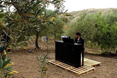 ULIVETO SICILIANO. Fotografie di Giulio Azzarello ©2022.