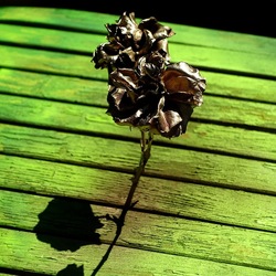 METALLICO. Fotografia di Giulio Azzarello &copy;2023.