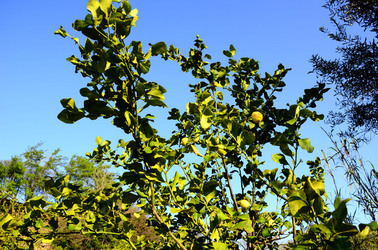 GOLE DELL ALCANTARA in Sicilia. Fotografie di Giulio Azzarello &copy;2016.