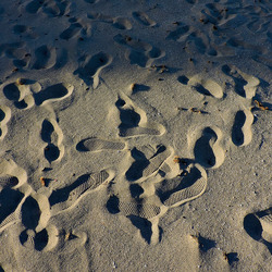 MONDELLO di inverno. Fotografie di Giulio Azzarello &copy;2016.
