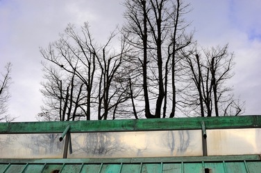 BIENNALE di VENEZIA 2017 i giardini. Fotografie di Giulio Azzarello ©2018. BIENNALE di VENEZIA 2017 i giardini. Fotografie di Giulio Azzarello ©2018.