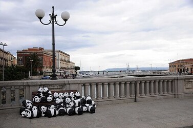 SIRACUSA arte a Ortiggia. Fotografie di Giulio Azzarello &copy;2014.