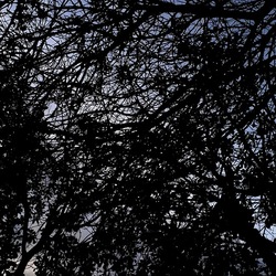 INVERNO. Fotografie di Giulio Azzarello &copy;2023.