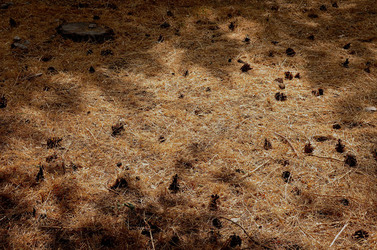 IL PARCO DELLE MADONIE da Polizzi Generosa in Sicilia. Fotografie di Giulio Azzarello &copy;2014.