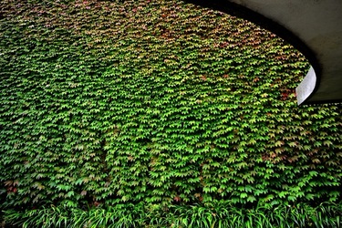 BIENNALE di VENEZIA Arte Contemporanea Giardini. Fotografie di Giulio Azzarello &copy;2020.