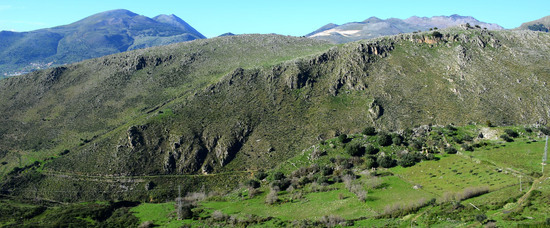 MACCHIA MEDITERRANEA in Sicilia. Fotografie di Giulio Azzarello &copy;2106.