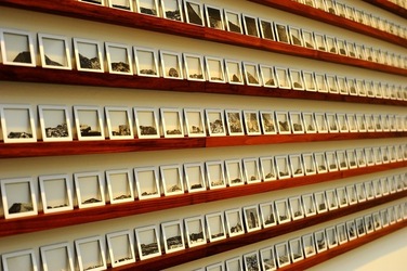 BIENNALE di VENEZIA 2017 i giardini. Fotografie di Giulio Azzarello ©2018. BIENNALE di VENEZIA 2017 i giardini. Fotografie di Giulio Azzarello ©2018.