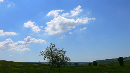 VIGNETO tipico siciliano a Salemi panoramiche e particolari. Fotografie di Giulio Azzarello &copy;2014.