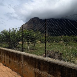 CAMMINANDO. Fotografie di Giulio Azzarello &copy;2024.