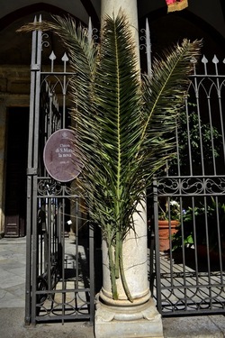 CENTRO STORICO di PALERMO fotografie di Giulio Azzarello ©2019.