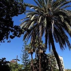 GIARDINO. Fotografie di Giulio Azzarello ©2022.