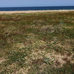 BARCHE. Fotografie di Giulio Azzarello &copy;2022.
