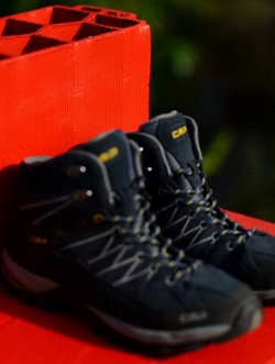 STILL LIFE fotografie di Giulio Azzarello &copy;2020.