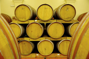 BOTTI per il vino. Fotografie di Giulio Azzarello ©2016. BOTTI per il vino. Fotografie di Giulio Azzarello ©2016.