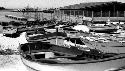 BIANCO NERO. Fotografie di Giulio Azzarello ©2021. BIANCO NERO. Fotografie di Giulio Azzarello ©2021.