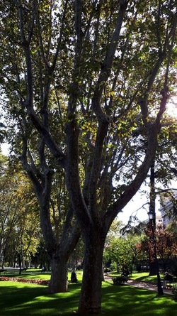 ROMA fotografie di Giulio Azzarello &copy;2022.