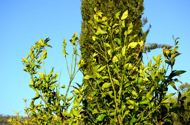 GOLE DELL ALCANTARA in Sicilia. Fotografie di Giulio Azzarello &copy;2016.