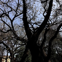 ORTO BOTANICO. Fotografie di Giulio Azzarello &copy;2024.