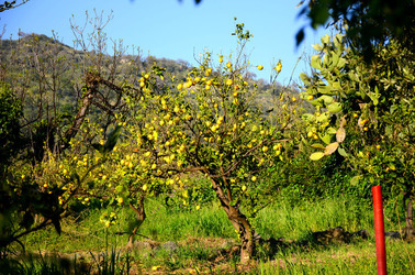GOLE DELL ALCANTARA in Sicilia. Fotografie di Giulio Azzarello &copy;2016.
