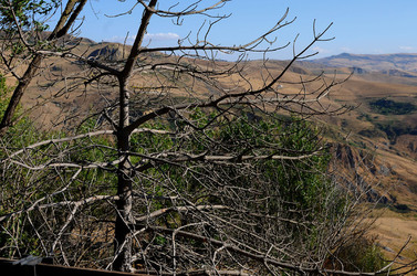 POLIZZI GENEROSA in Sicilia. Fotografie di Giulio Azzarello ©2014. POLIZZI GENEROSA in Sicilia. Fotografie di Giulio Azzarello ©2014.