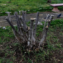 TRONCHI. Fotografie di Giulio Azzarello ©2022.