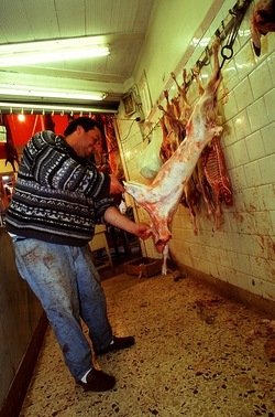 VUCCIRIA anni 90. Fotografie di Giulio Azzarello &copy;2022.