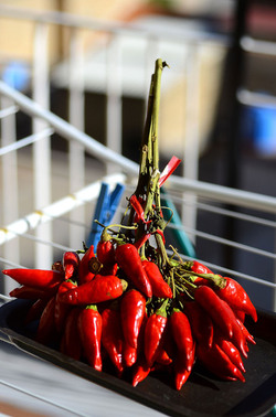 PEPERONCINO fotografie di Giulio Azzarello ©2014. PEPERONCINO fotografie di Giulio Azzarello ©2014.